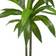 Nearly Natural Dracaena Artificial Plant