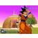 Dragon Ball Z: Infinite World (PS2)