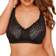 Yours Hi Shine Lace Non-Padded Non-Wired Full Cup Bra - Black