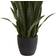 Nearly Natural Sansevieria Artificial Plant