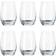 aida Passion Connoisseur Dricksglas 46.5cl 6st