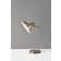 Adesso Cleo Table Lamp 19"