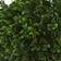 Nearly Natural Boxwood Topiary Artificial Plant