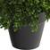 Nearly Natural Boxwood Topiary Artificial Plant