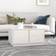 vidaXL 814420 White Coffee Table 50x80cm