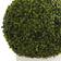 Nearly Natural Boxwood Ball Artificial Plant