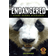 Endangered Giant Panda Scenario