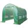 Birchtree Polytunnel Greenhouse 4x2m Stainless steel Plastic