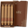 Root Timberline Collenette Candle 9" 4pcs