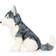 Jellycat Jackson Husky 25cm