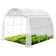 Vounot Polytunnel Greenhouse 6m² Rostfritt stål Plast