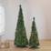 Northlight 6' Prelit Artificial Slim Holly Leaf Pop-Up Christmas Tree 182.9cm