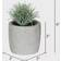 Vickerman Assorted Potted Succulents Artificial Plant