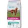 Eukanuba Dog Daily Care Sensitive Digestion 12.5kg