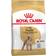 Royal Canin Poodle Adult