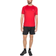 Trespass Men's Quick Dry Active T-shirt Albert - Red