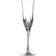 Waterford Lismore Essence Champagne Glass 22cl 2pcs