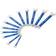 Park Tool MW-SET.2 12pcs U-ringnyckel