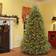 National Tree Company Dunhill Christmas Tree 78"