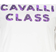 Cavalli Class Cotton Tops T-shirt - White