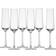 Schott Zwiesel Pure Champagne Glass 21cl 6pcs