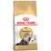 Royal Canin Persian Adult 2kg