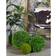 Litton Lane Boxwood Topiary Artificial Foliage Ball Decorative Item