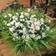 Daisies Flowers Outdoor Artificial Plant 4pcs
