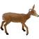 Mojo White Tailed Deer Doe