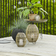 Star Trading Linden Shade ∅ 15cm