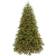 National Tree Company Jersey Fraser Christmas Tree 120"