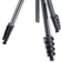 Manfrotto Compact Advanced Aluminium + 3-way Head