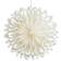 Watt & Veke Clara White Julstjärna ∅ 50cm