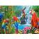 Castorland Parrot Meeting 2000 Pieces