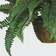 Nearly Natural Boston Fern Silk Hanging Basket Artificial Plant