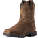 Ariat Anthem Shortie II W - Distressed Brown