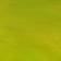 Amsterdam Standard Series Acrylic Tube Olive Green Light 250ml