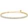 Studio Z Tennis Bracelet - Gold/Transparent