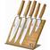 Richardson Sheffield Nomad R11111K514K20 Knife Set