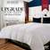 Becky Cameron Beckham Hotel Bedspread White (233.7x167.6cm)