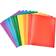 Amazon Basics Heavy Duty Plastic Folders 12-pack