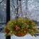 National Tree Company 20 Inch Feel Real Colonial Hanging Basket Christmas Lighting