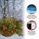 National Tree Company 20 Inch Feel Real Colonial Hanging Basket Christmas Lighting