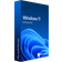 Microsoft Windows 11 Enterprise