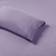 Intelligent Design Jersey Knit Bed Sheet Purple (259.1x228.6)