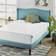 Zinus Green Tea Infused 10 Inch Queen Polyether Mattress