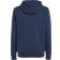 Tommy Jeans Tjm Reg Entry Graphic Hoodie - Twilight Navy