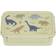 A Little Lovely Company Bento Lunch Box Dinosaurs