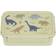 A Little Lovely Company Bento Matlåda Dinosaurs