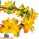 Wicked costumes orange flower headband